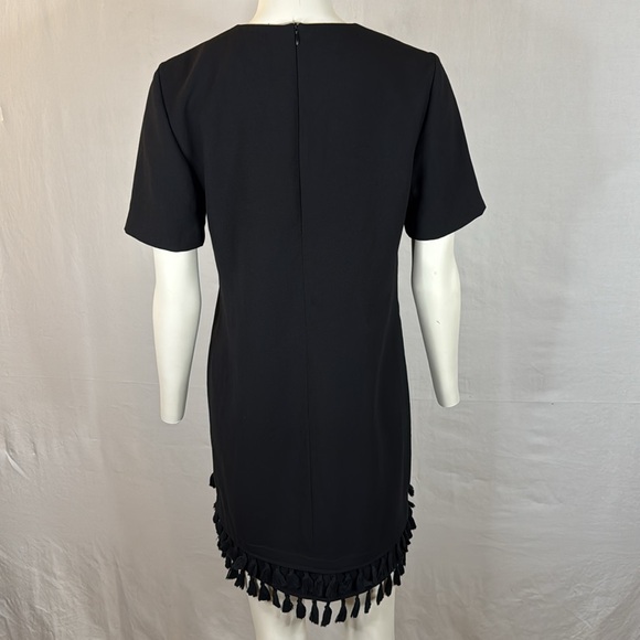 Zara Shift Dress with Pom Pom Hem - Picture 7 of 8